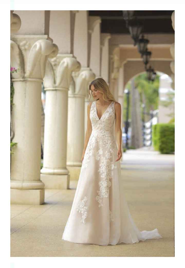 Vestidos colección 2021 Silver Springs by Randy Fenoli 22