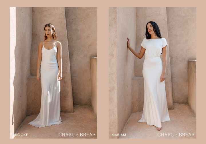 Vestidos colección 2021 Desert Dreamers by Charlie Brear 4