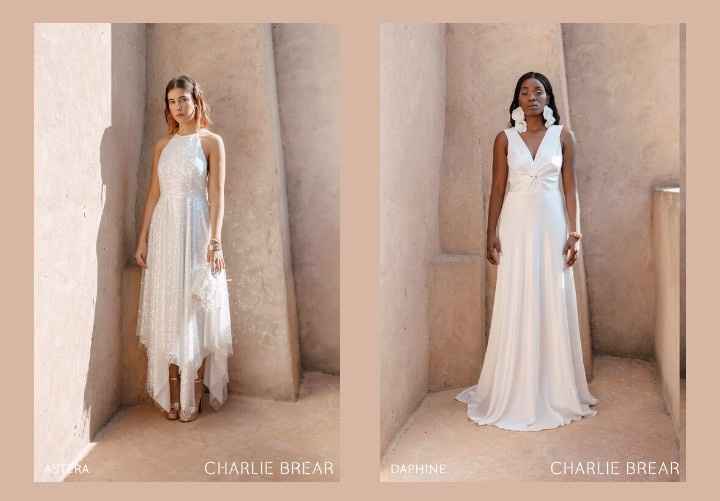 Vestidos colección 2021 Desert Dreamers by Charlie Brear 6