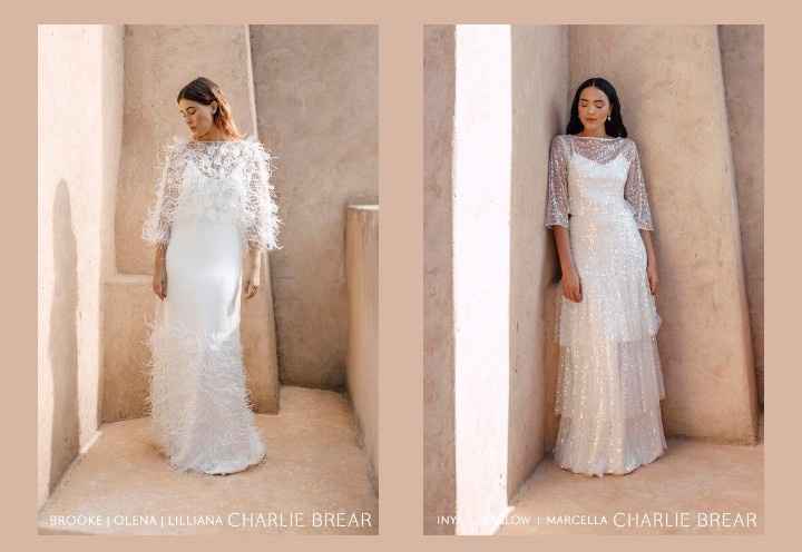 Vestidos colección 2021 Desert Dreamers by Charlie Brear 12