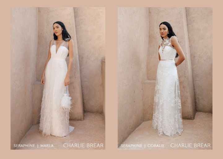 Vestidos colección 2021 Desert Dreamers by Charlie Brear 17