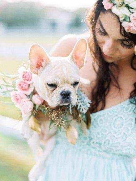 Fotografías con tu mejor amigo 🐕 1