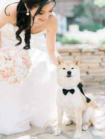 Fotografías con tu mejor amigo 🐕 2