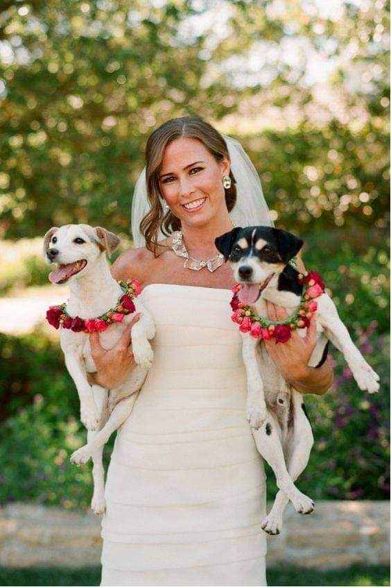 Fotografías con tu mejor amigo 🐕 3