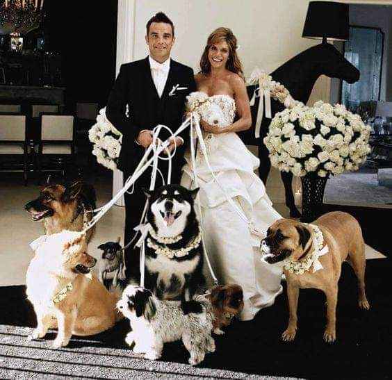 Fotografías con tu mejor amigo 🐕 8