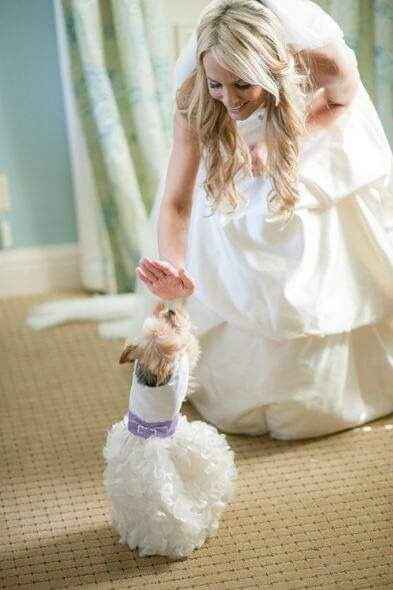 Fotografías con tu mejor amigo 🐕 13