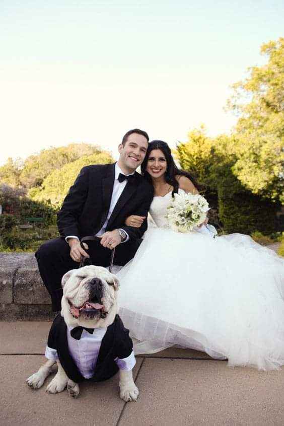 Fotografías con tu mejor amigo 🐕 15
