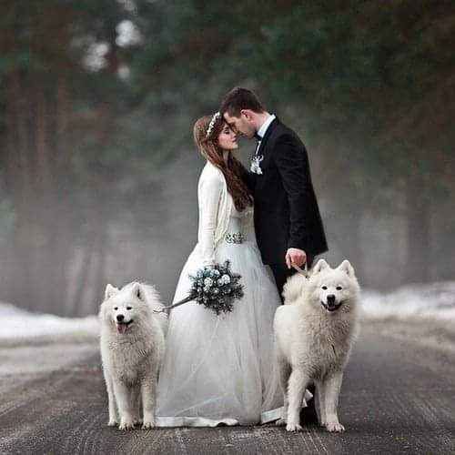 Fotografías con tu mejor amigo 🐕 17