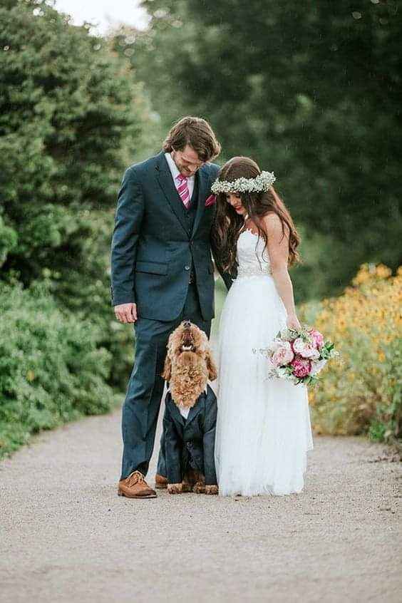 Fotografías con tu mejor amigo 🐕 18