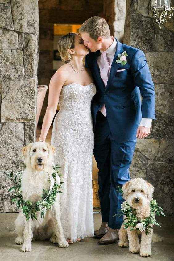 Fotografías con tu mejor amigo 🐕 19