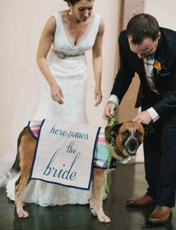 Fotografías con tu mejor amigo 🐕 20