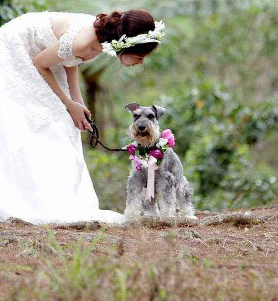 Fotografías con tu mejor amigo 🐕 21