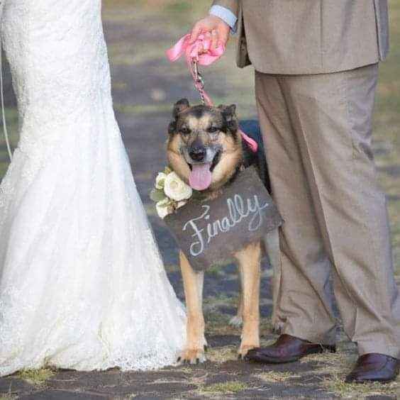 Fotografías con tu mejor amigo 🐕 23