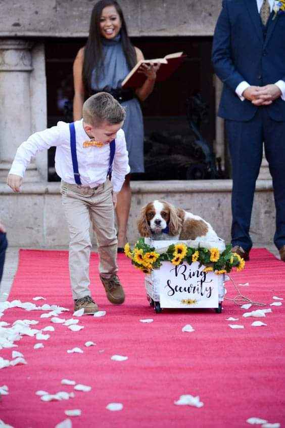 Fotografías con tu mejor amigo 🐕 26