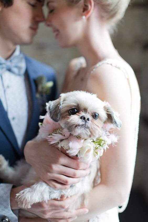 Fotografías con tu mejor amigo 🐕 27