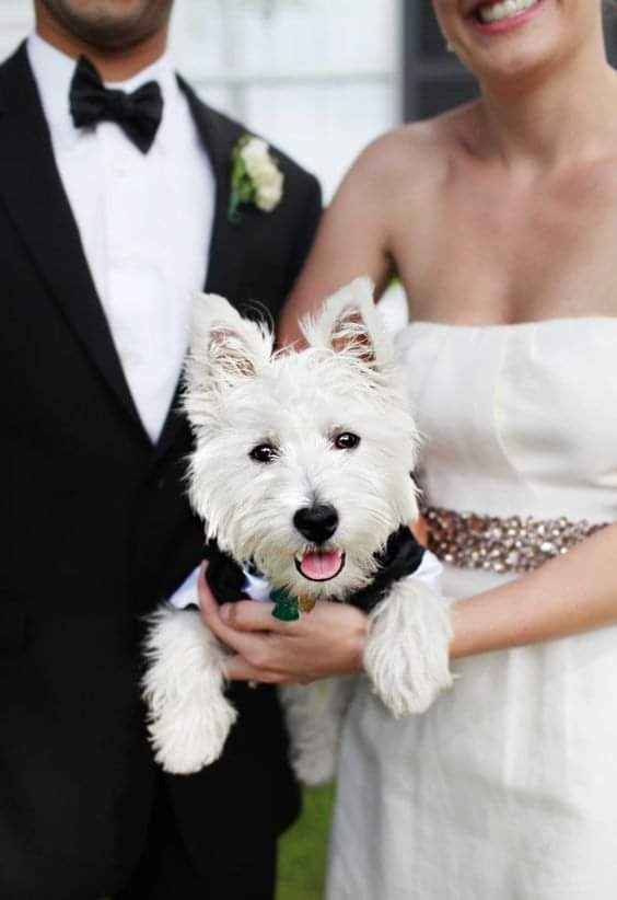 Fotografías con tu mejor amigo 🐕 28