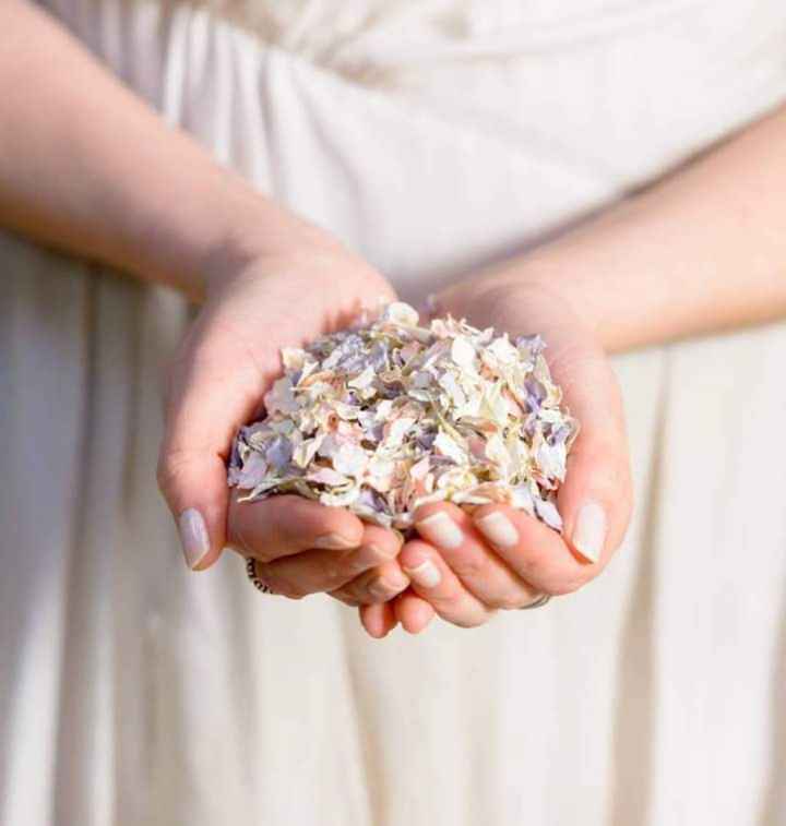 Pétalos como confeti en tu boda - 5