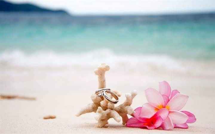 Boda en playa: Luce y resalta tus alianzas - 1