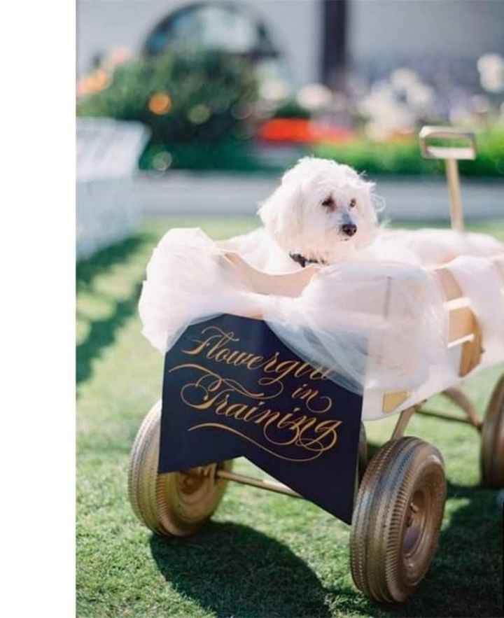 Tu hermosa mascota en tu boda - 1