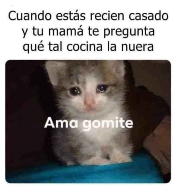 ¡A sonreír es miércoles!🤣 - 7