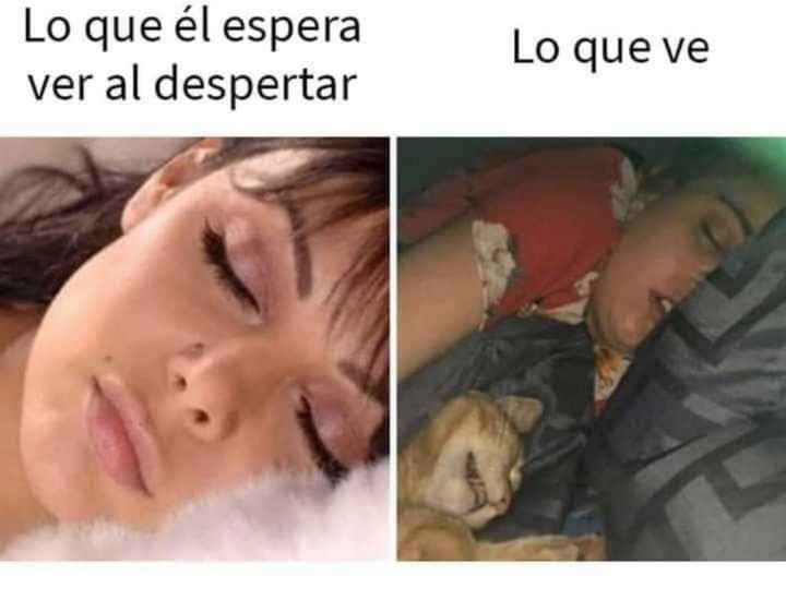 ¡A sonreír es miércoles!🤣 - 8
