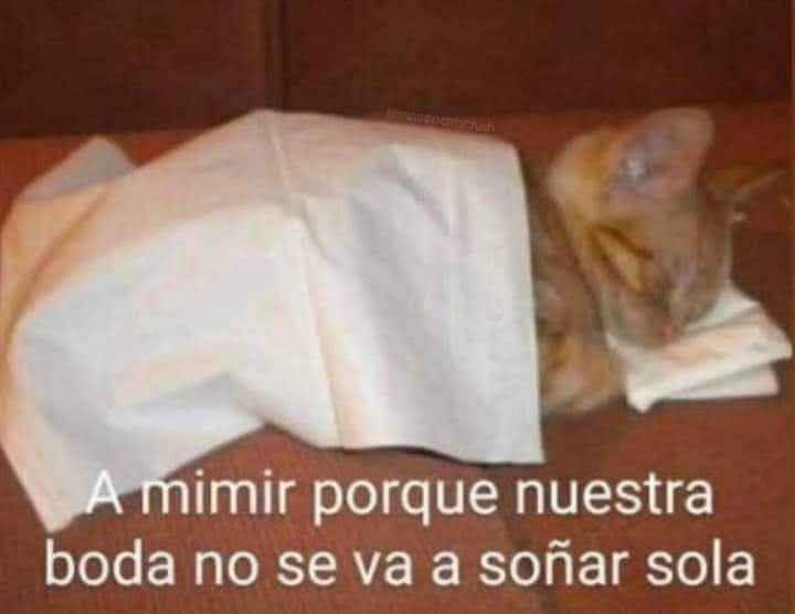 ¡A sonreír,es viernes! 🤣 - 8
