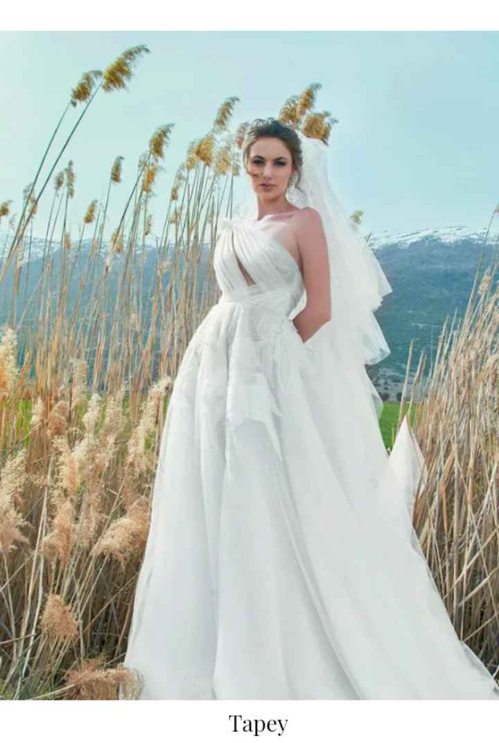 Vestidos colección otoño-invierno 2022 Kristie Romanos - 6