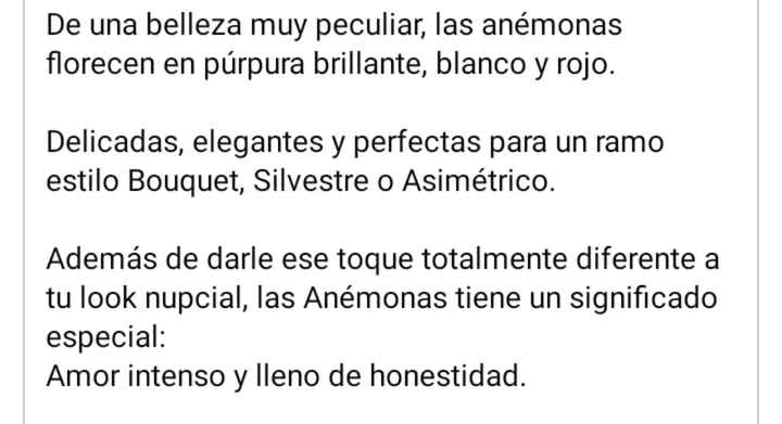 En tu ramo anémonas - 1