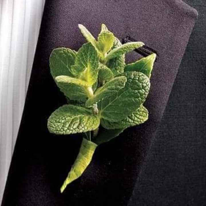 Boutonniere relajante - 2