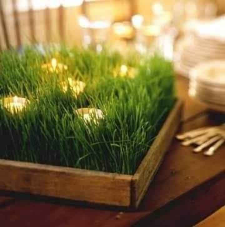 Centros de mesa con pasto - 4