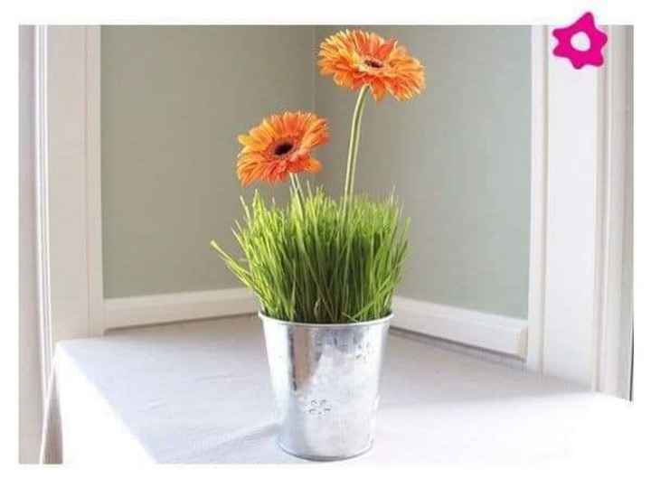 Centros de mesa con pasto - 6