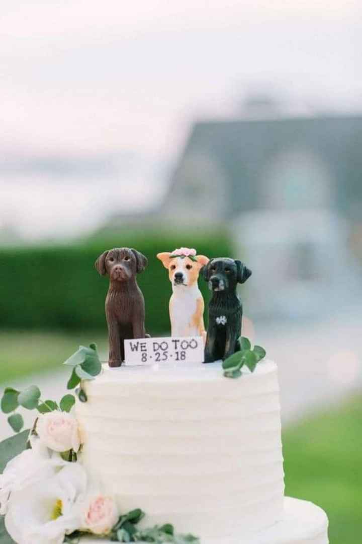 Tu mascota en tu boda - 1