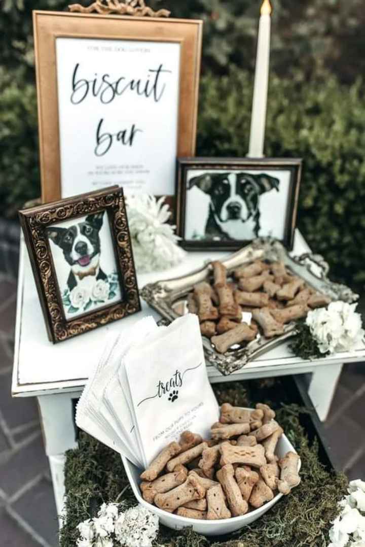 Tu mascota en tu boda - 4