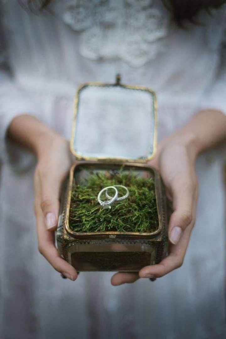 Musgo en tu boda - 1