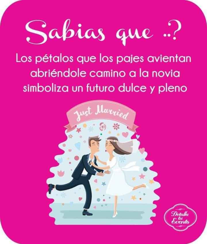 ¿Lo sabías?: Los pétalos de rosas - 1