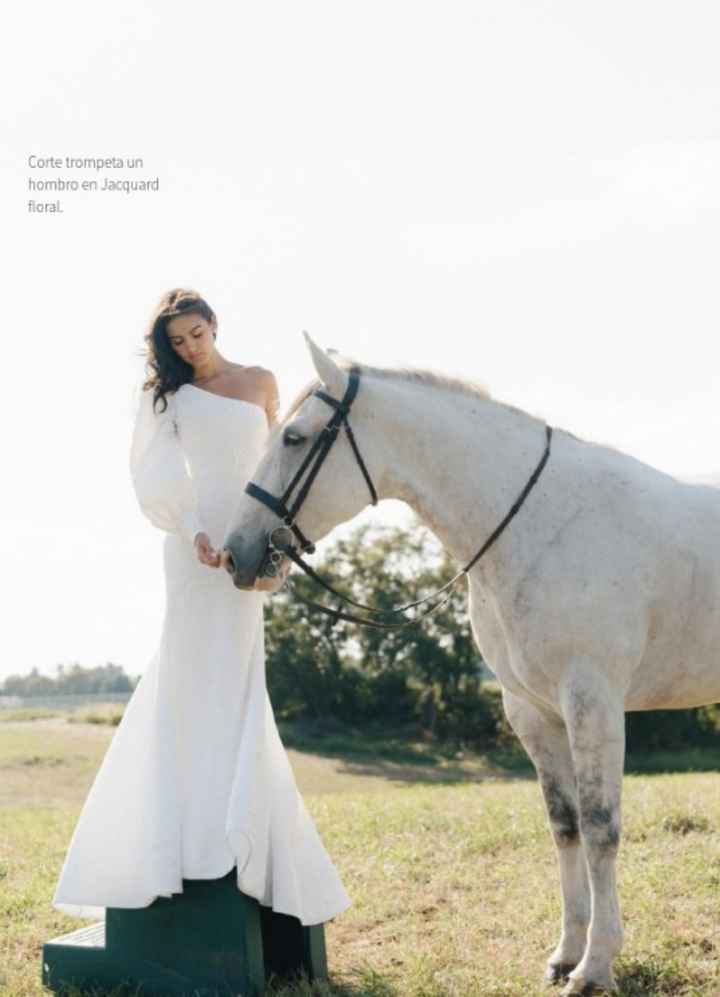 Vestidos colección otoño-invierno 2023 Anne Barge - 5
