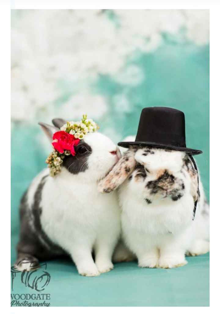 Boda con temática inspirada en el Año del Conejo 🐰 - 27
