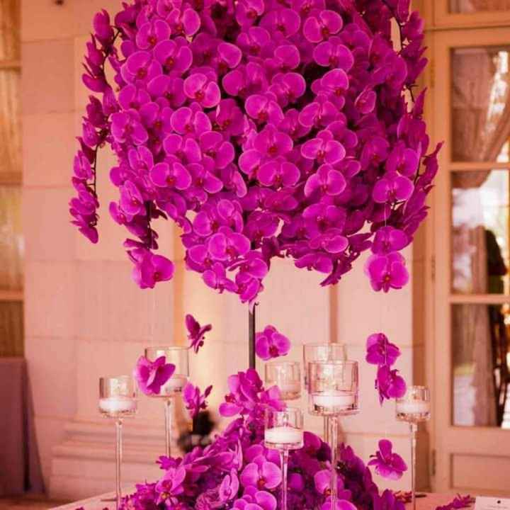 En tu boda:color fucsia - 6