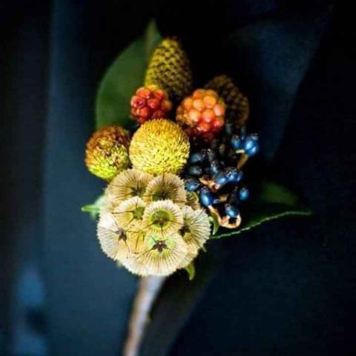 Flor scabiosa en tu boutonniere - 4