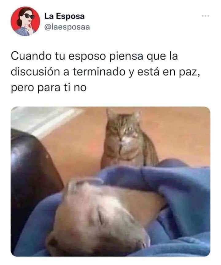 Lindas sonrisas en miércoles 😄 - 8