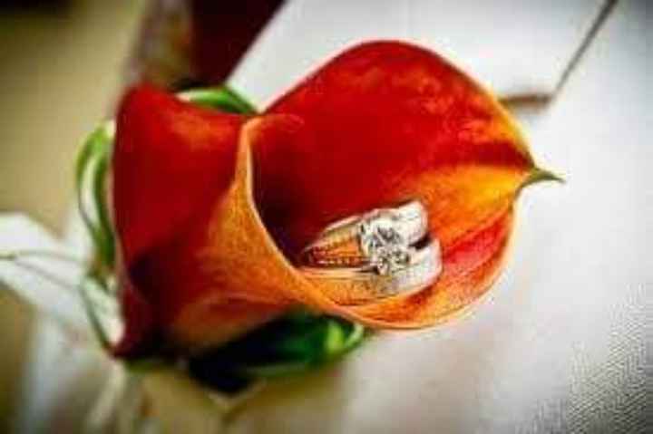 Otoño:boda en color naranja y chocolate 🧡🤎🍁 - 5
