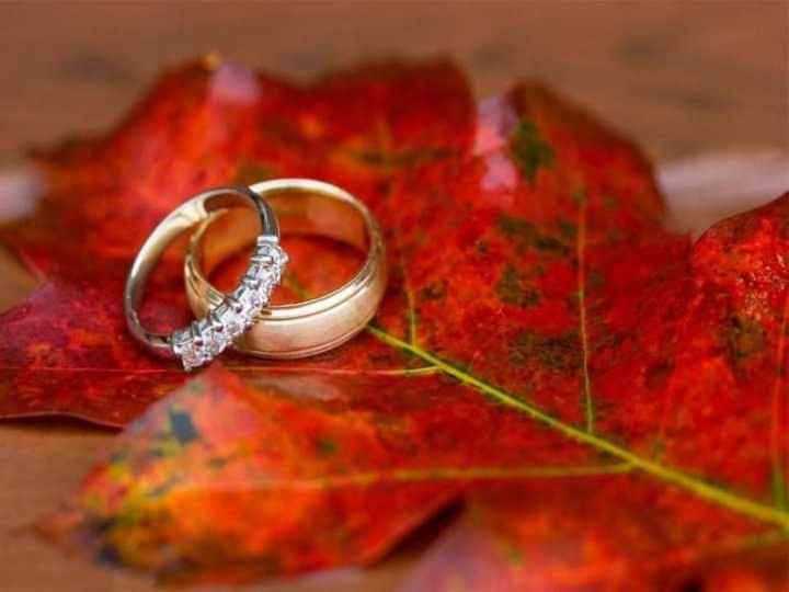 Otoño:boda en color naranja y chocolate 🧡🤎🍁 - 8