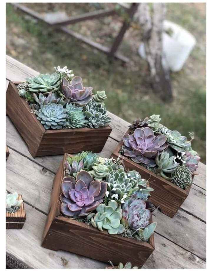 Boda en morado y suculentas - 12