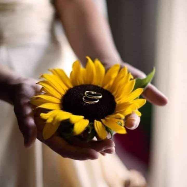 Boda con el toque romántico del girasol 🌻 - 8