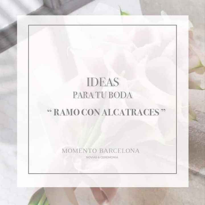 Tu ramo con alcatraces - 1