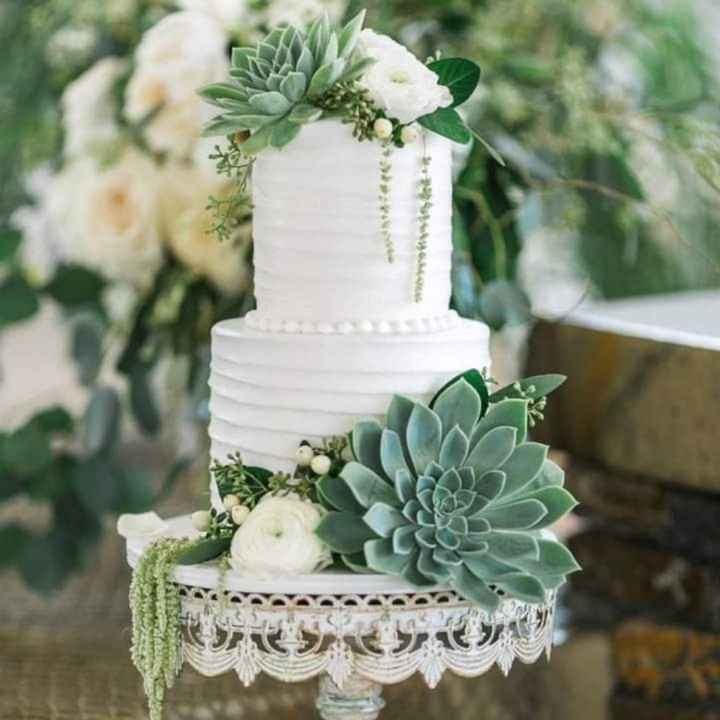 Pasteles con suculentas - 2