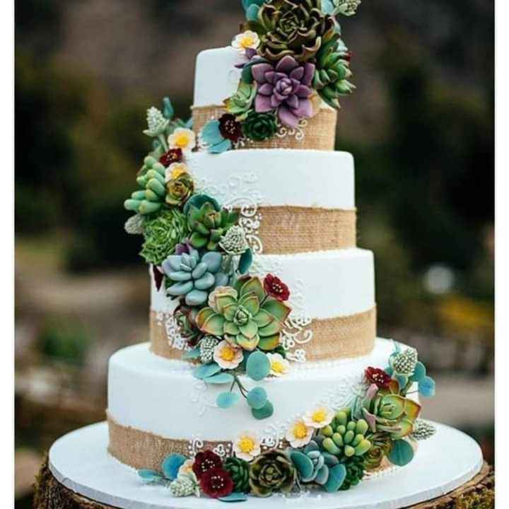 Pasteles con suculentas - 4