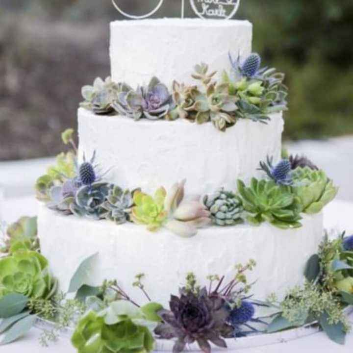 Pasteles con suculentas - 6