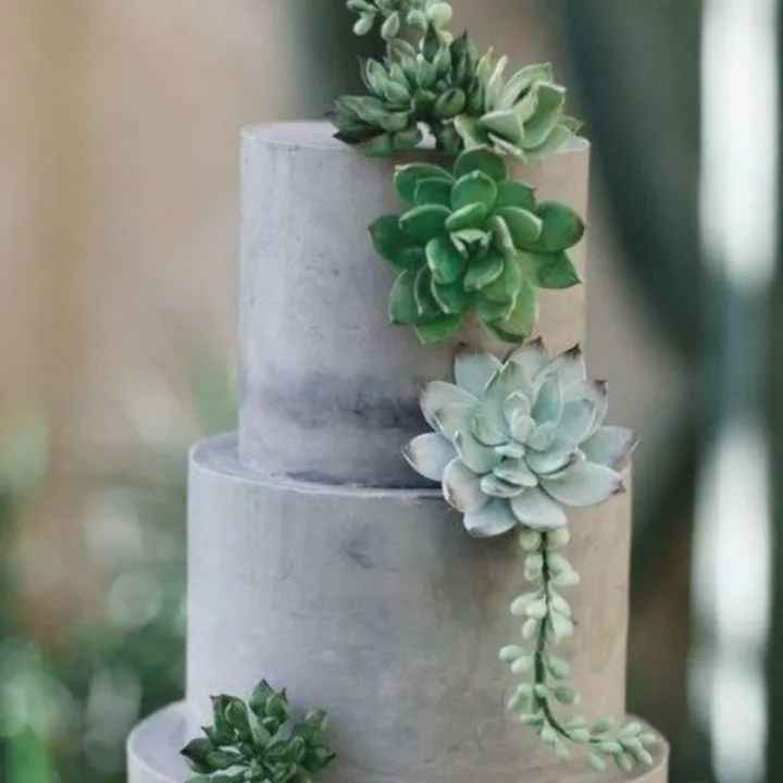 Pasteles con suculentas - 8