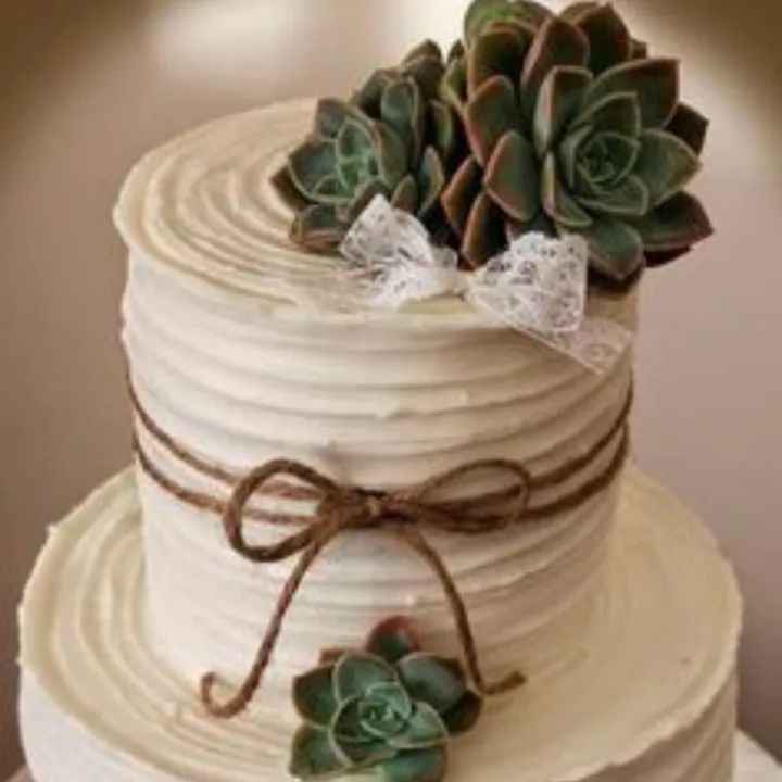 Pasteles con suculentas - 9